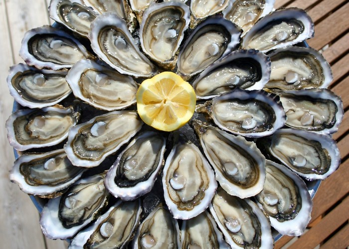 degustation huitres en mer
